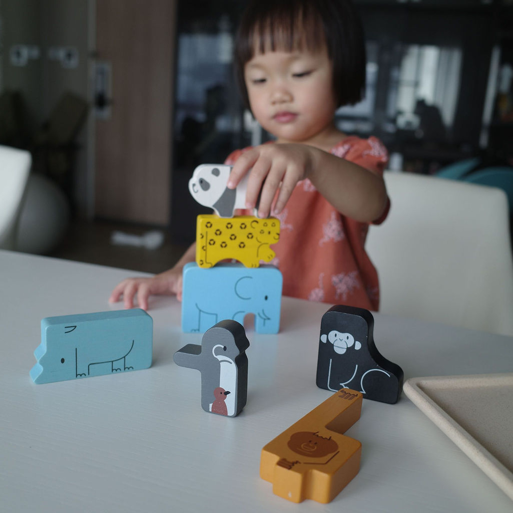 PlanToys Animal Puzzle Game