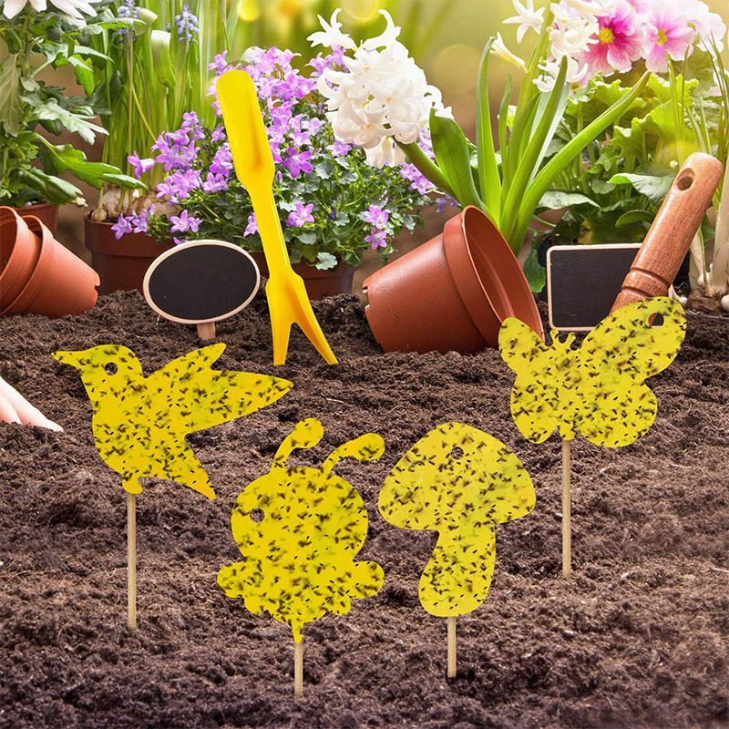 24 Pcs Yellow Sticky Trap Fruit Fly Fungus Gnat Catcher