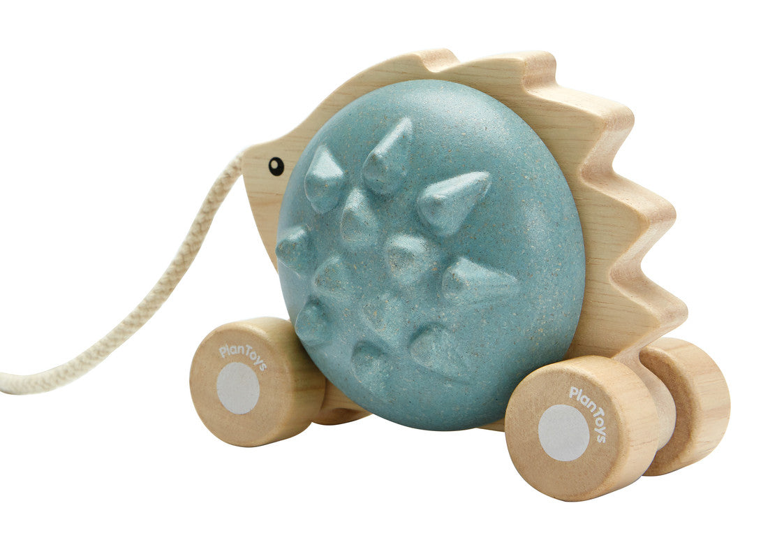Pull - Along Hedgehog - Blue