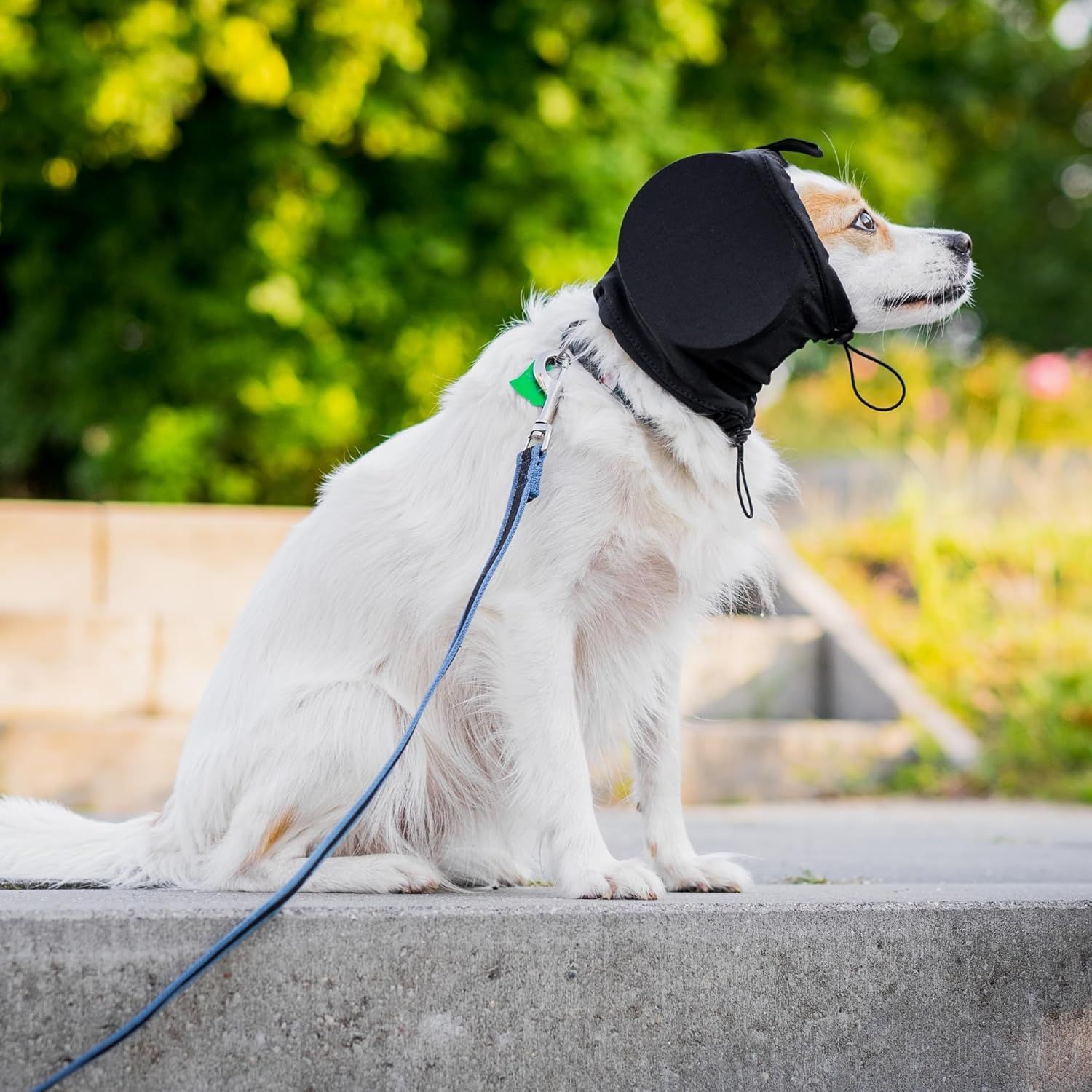 Dog Noise Cancelling Ear Muffs Hearing Protection Headphones for Fireworks Thunder