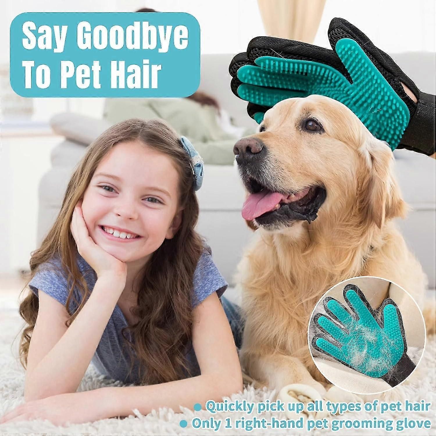 4-Piece Pet Hair Remover Kit with Wood Handle Brush & Silicone Gloves for Furniture Car Upholstery & Clothing