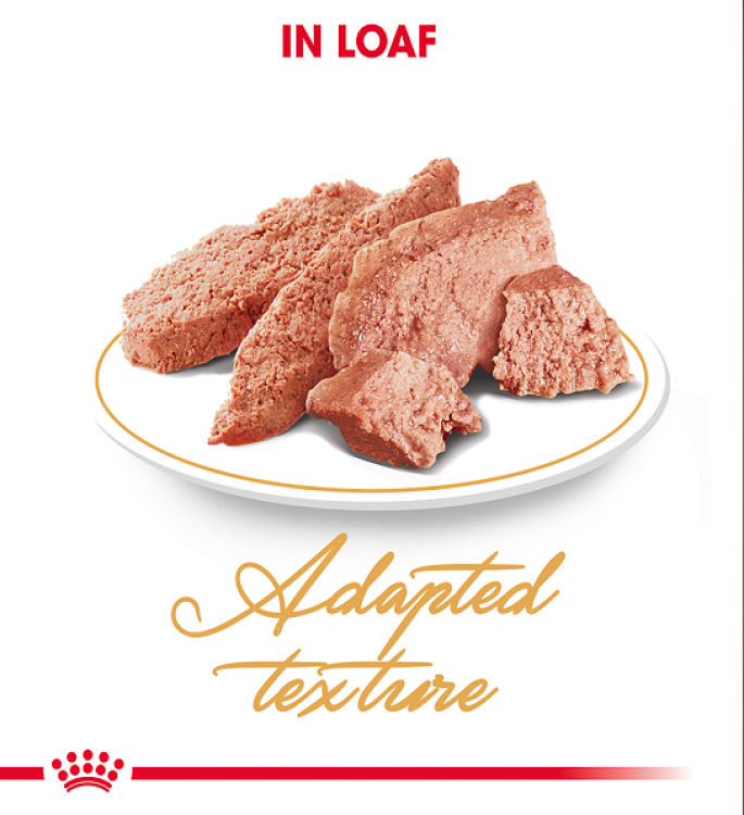 Royal Canin Feline Breed Nutrition Persian - 12 Wet Food Pouches