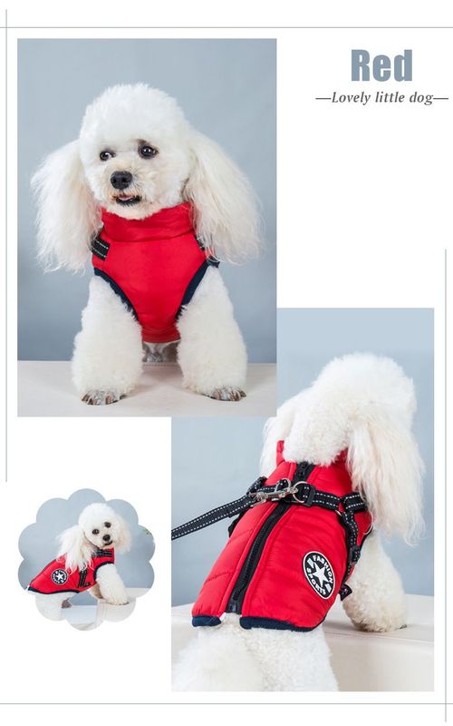Dog Warm Coat Waterproof Pet Autumn Winter Reflective Vest Cotton Clothes