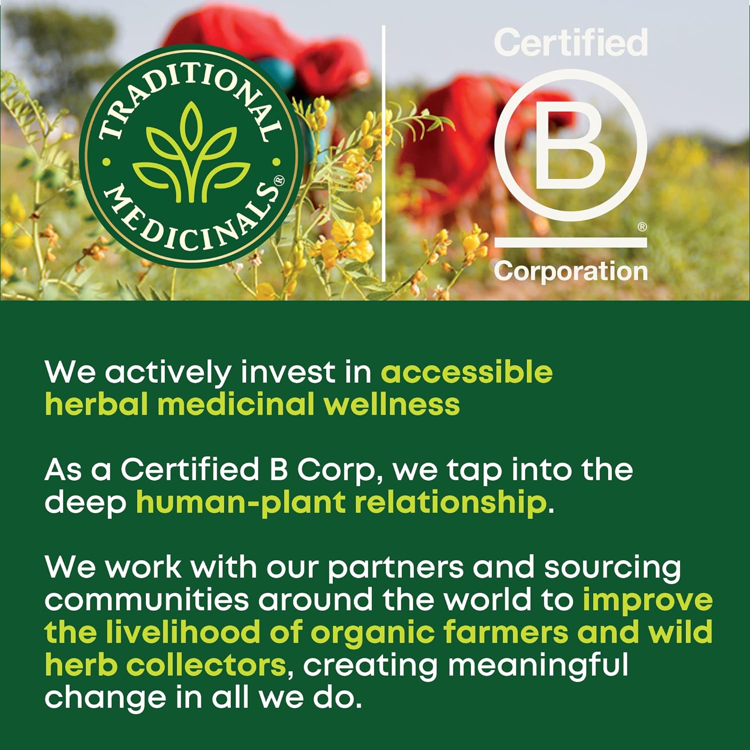 Traditional Medicinal Rose Hips With Hibiscus, 16 Teabags
