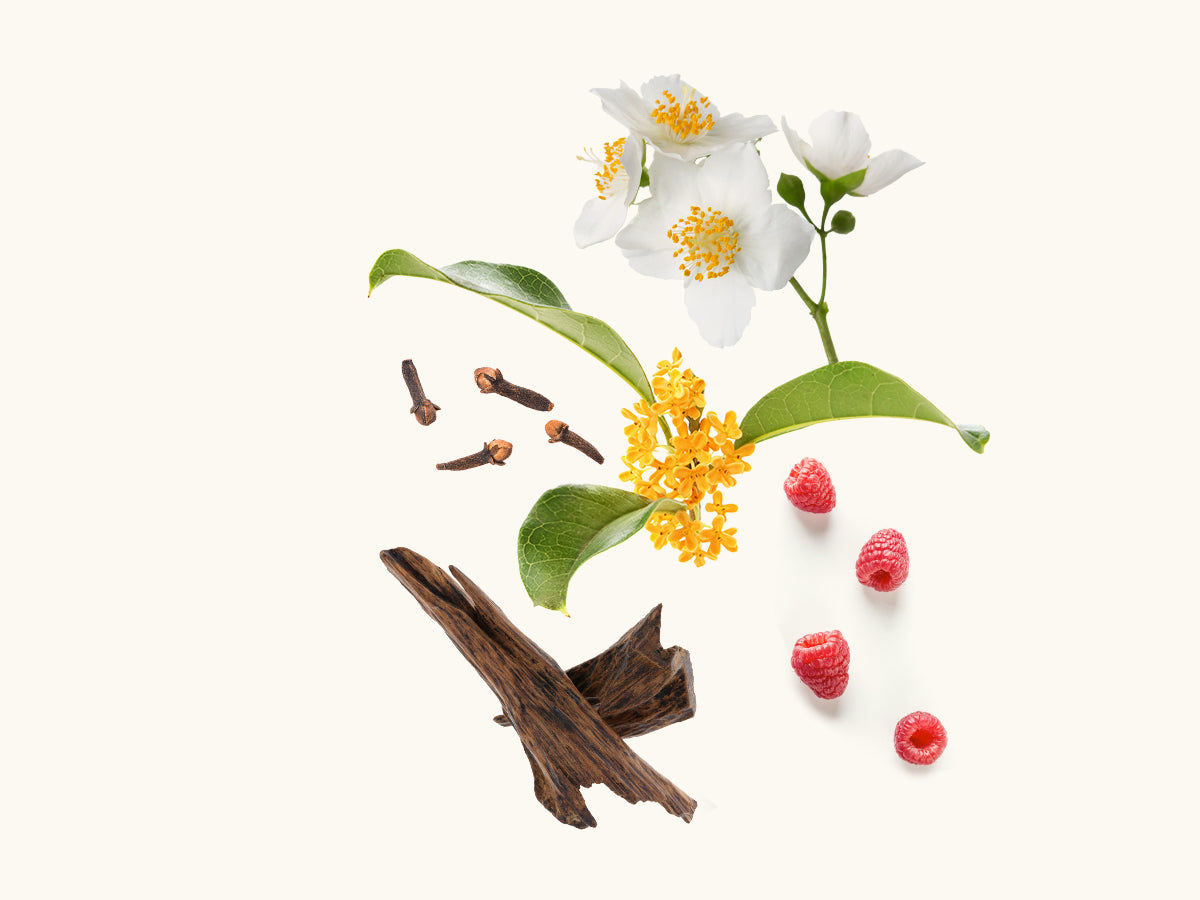 Samar Extrait de Parfum 50ml