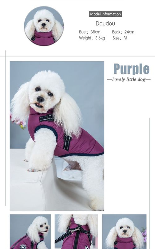 Dog Warm Coat Waterproof Pet Autumn Winter Reflective Vest Cotton Clothes