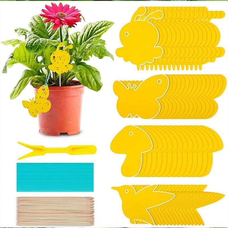 24 Pcs Yellow Sticky Trap Fruit Fly Fungus Gnat Catcher