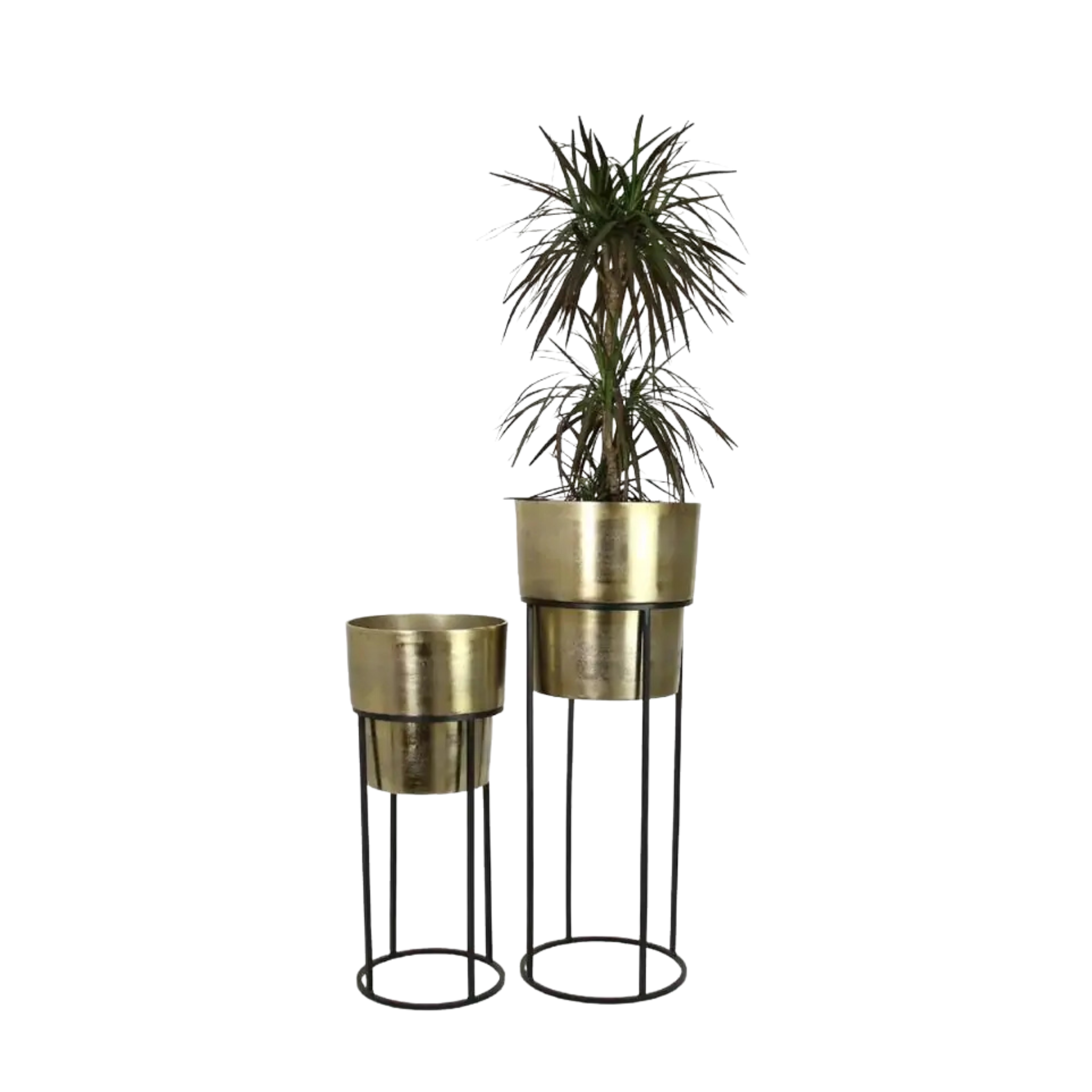 Planter Tall | Set of 2