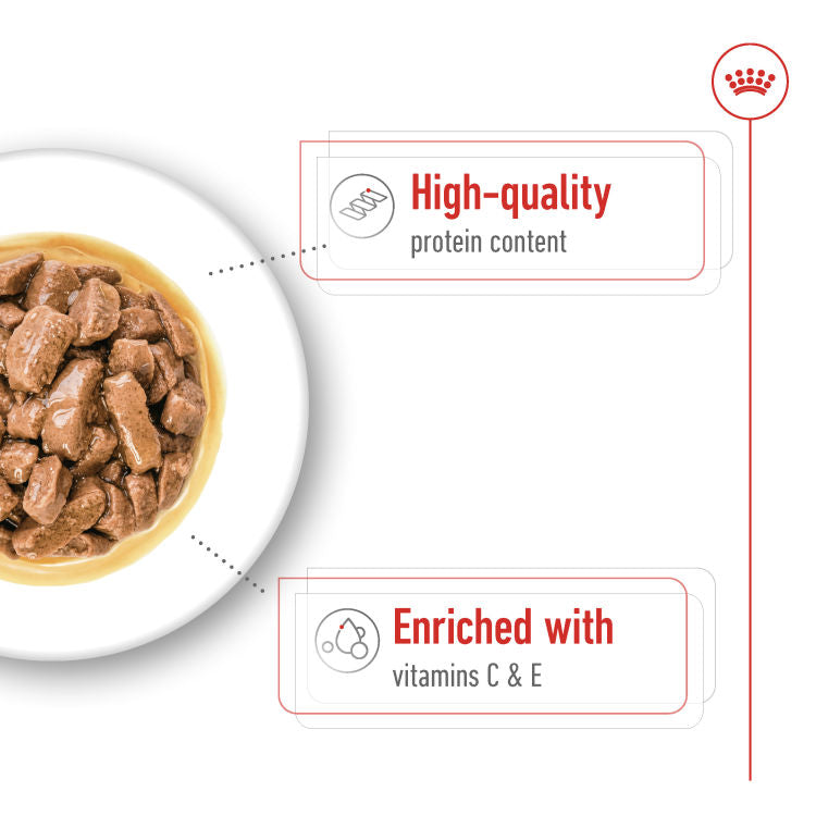 Royal Canin Size Health Nutrition Medium Adult (WET FOOD - Pouches) 10 x 140g