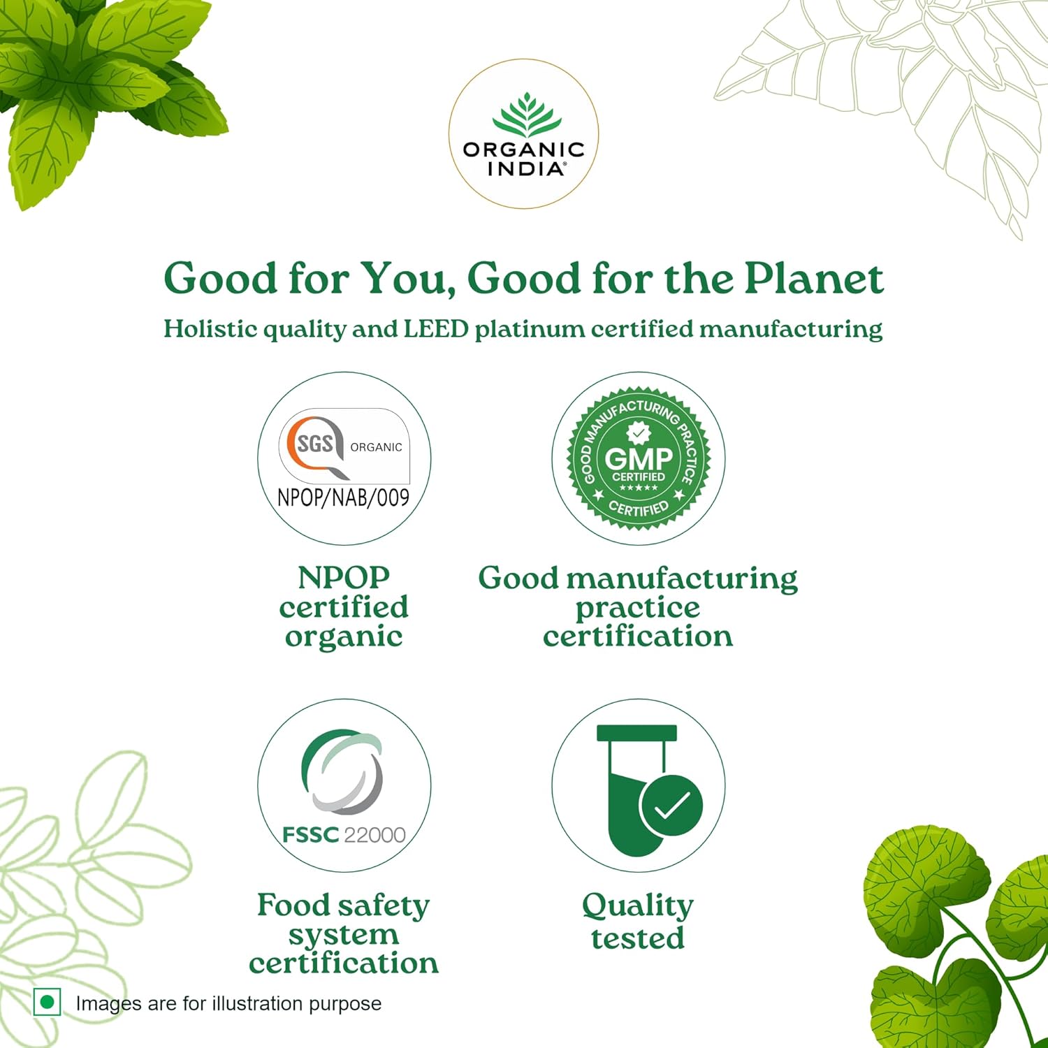 شاي تولسي الزنجبيل والكركم من ORGANIC INDIA، 25 كيس شاي