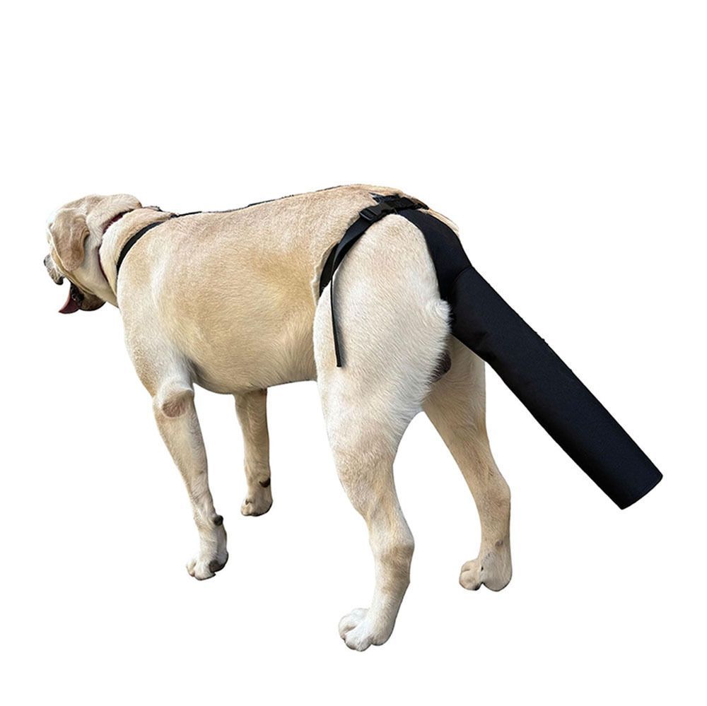 Pet Dog Tail Protector Skin Protection Protect Suit Pet Dog Tail Protective Cover