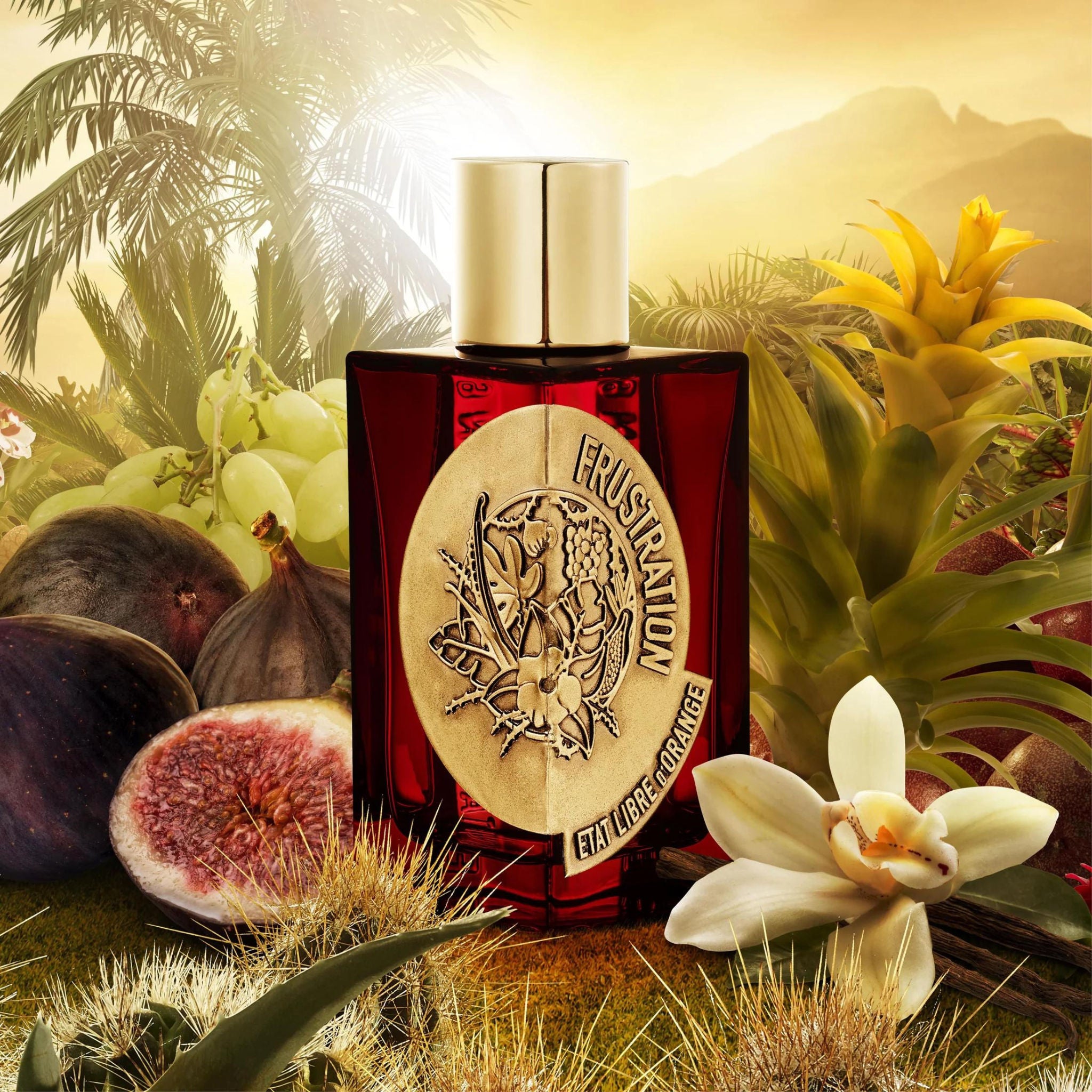 Frustration Eau de Parfum 100ml