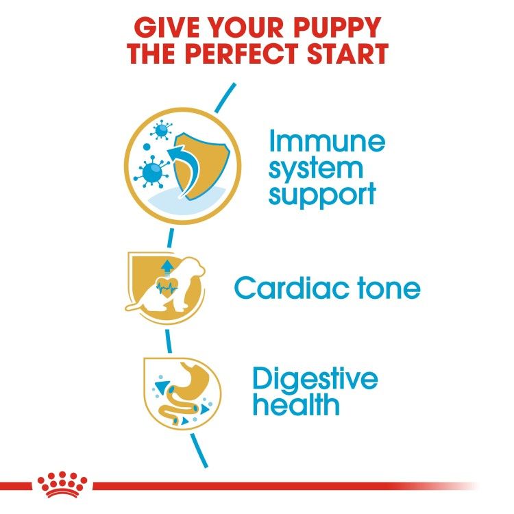 Breed Health Nutrition Cavalier King Charles Puppy 1.5 KG