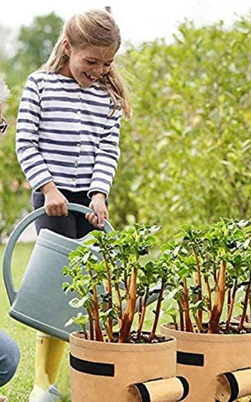 2 Pack Potato Growing Bags Photato Pot Vegetable Growing Container With Flap And Handles
