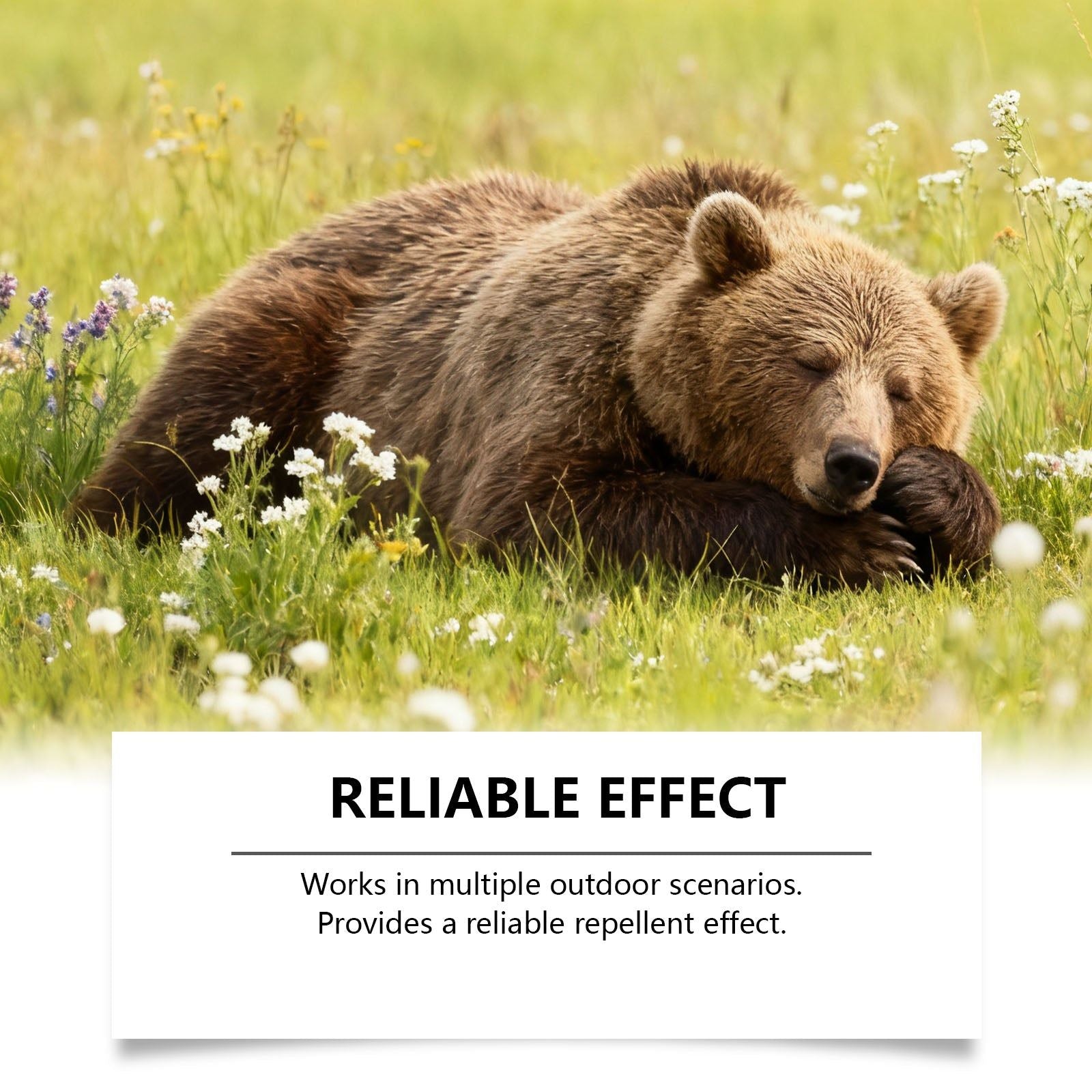 Bear Repellent Spray, Outdoor Safety, Camping Gear, Portable, Peppermint Oil ,100ml