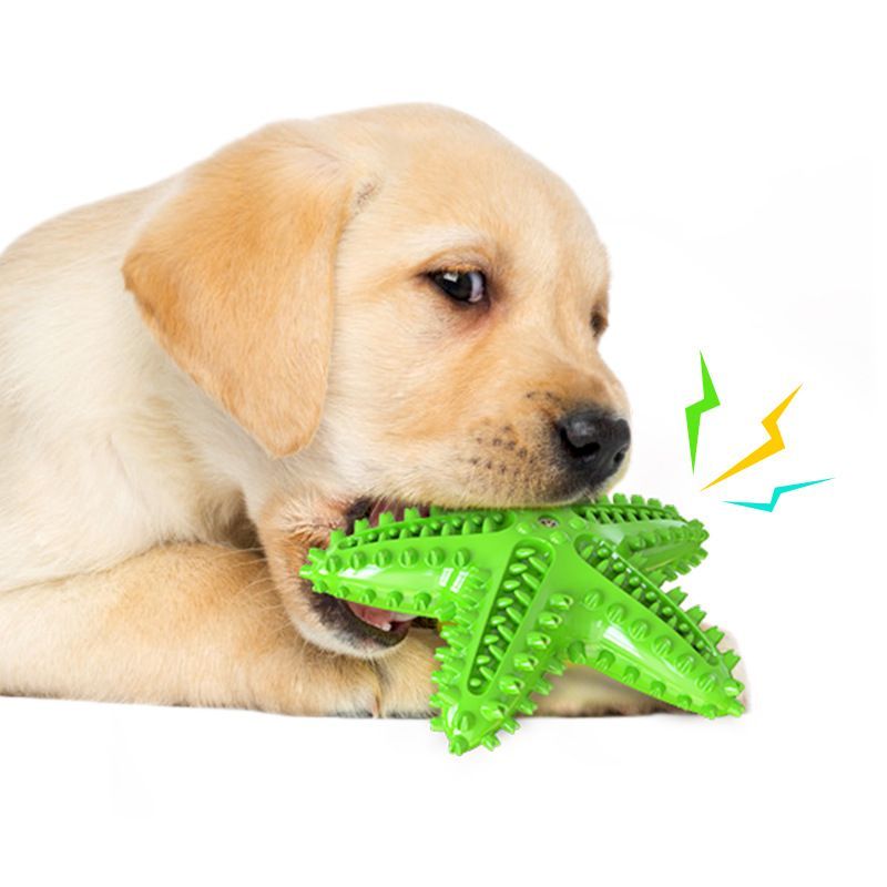 Dog Chew Toy Toothbrushes Starfish Squeaky Molar