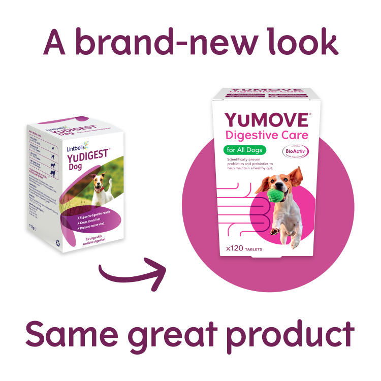 YuMOVE Digestive Care 120 tabs (Near Expiry)