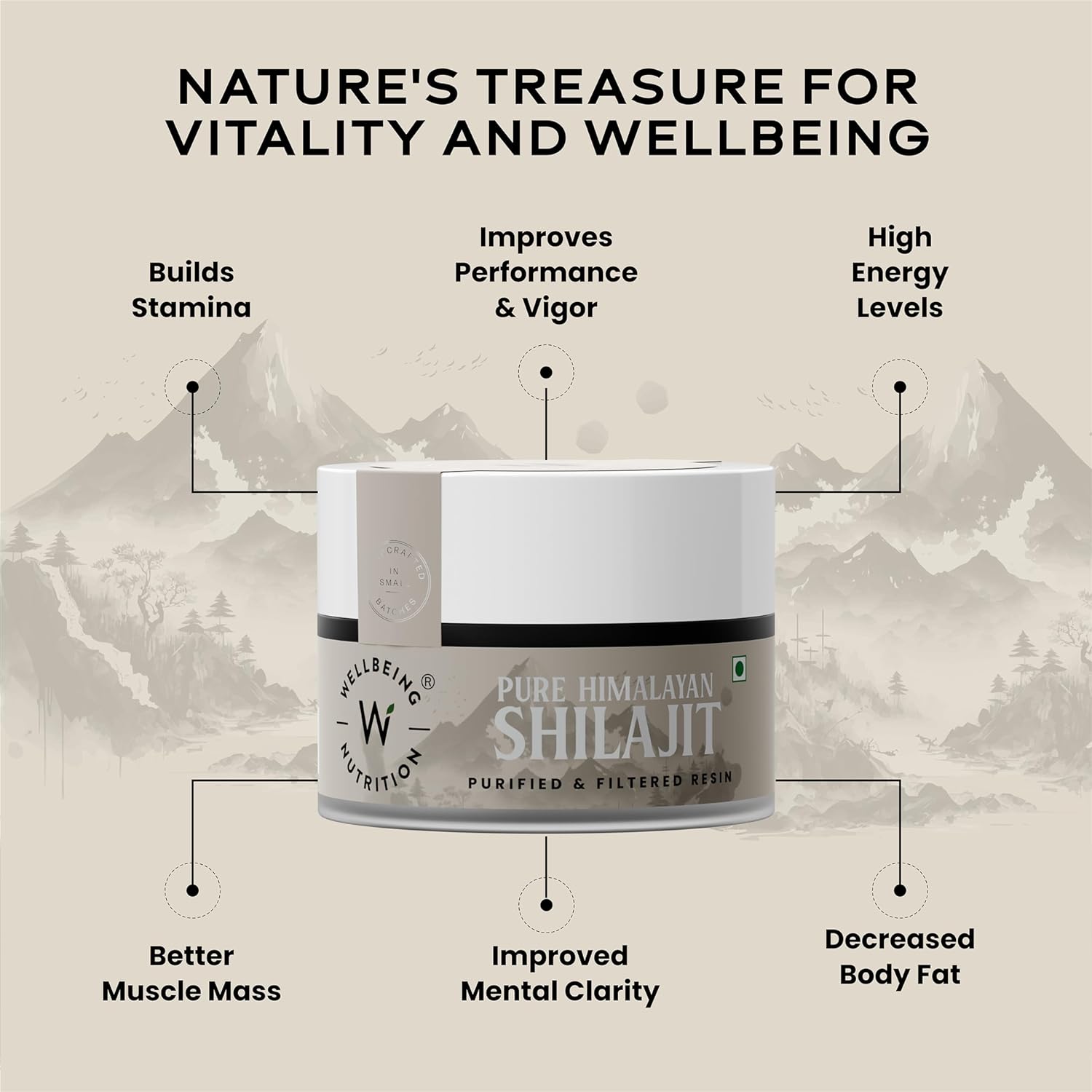 Wellbeing Nutrition Pure & Natural Himalayan Shilajit Original Resin 20g