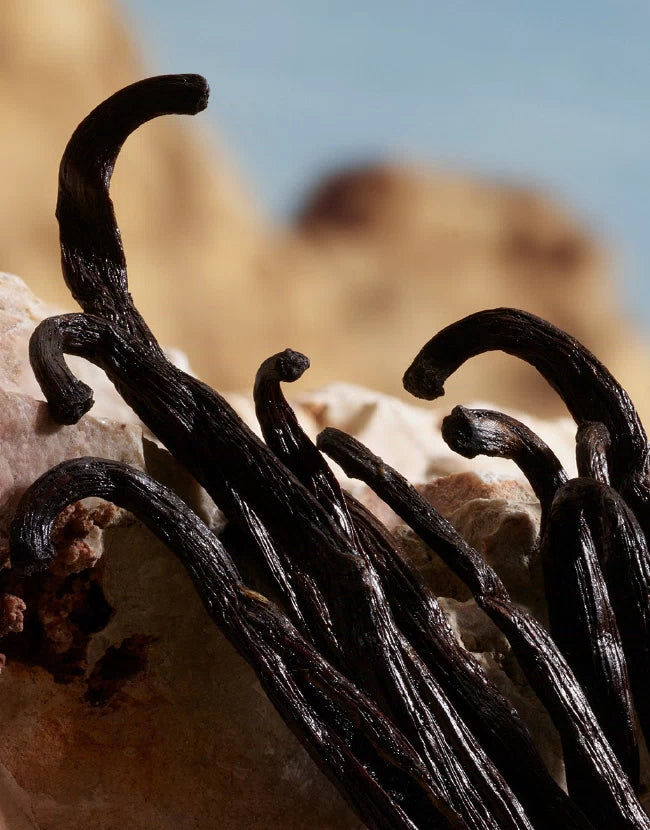 Q By Dolce&Gabbana Parfum