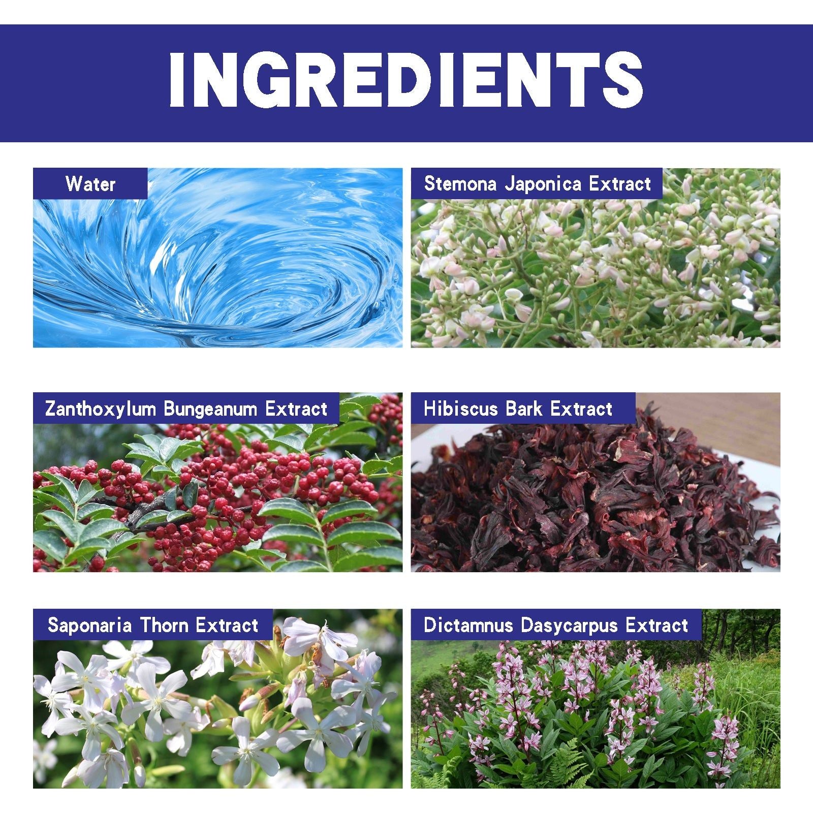 Back Care Spray Fade Acne Marks Soft Skin Moisturizer for Clear Back ,60ml