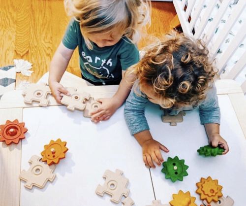 Gear & Puzzle