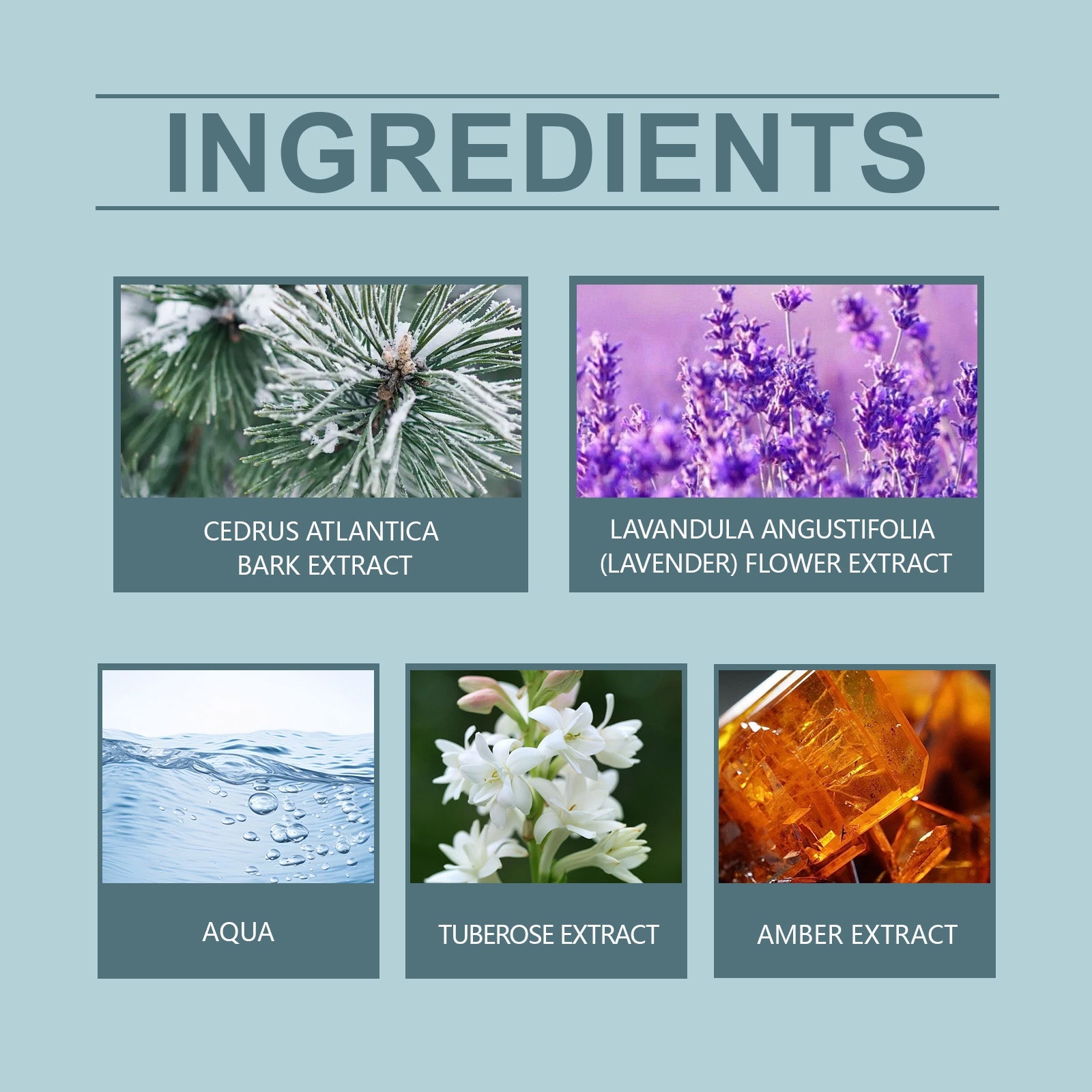 Cedar Whisper Perfume, Lavender Fragrance, Long-lasting Fresh Scent, Elegant & Charming ,35ml