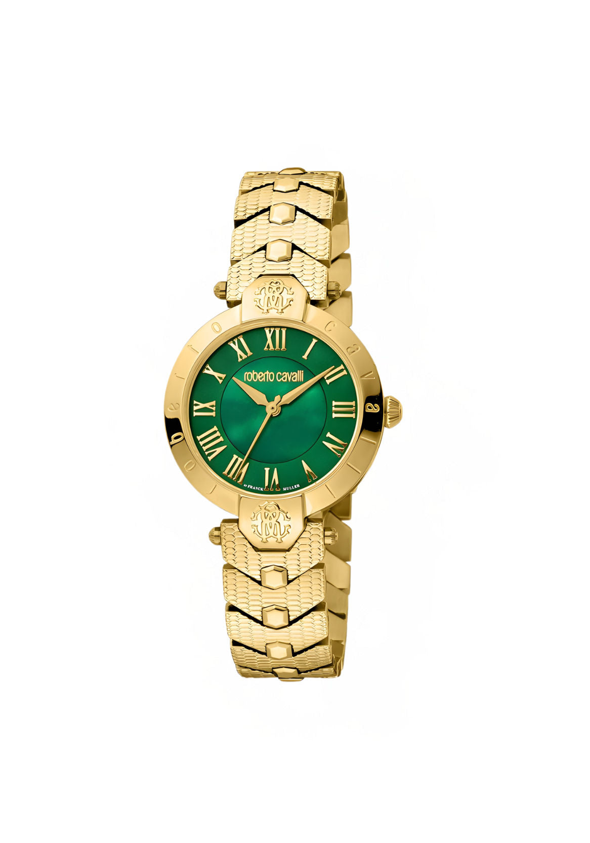 Roberto Cavalli Watches -RV1L166M0061