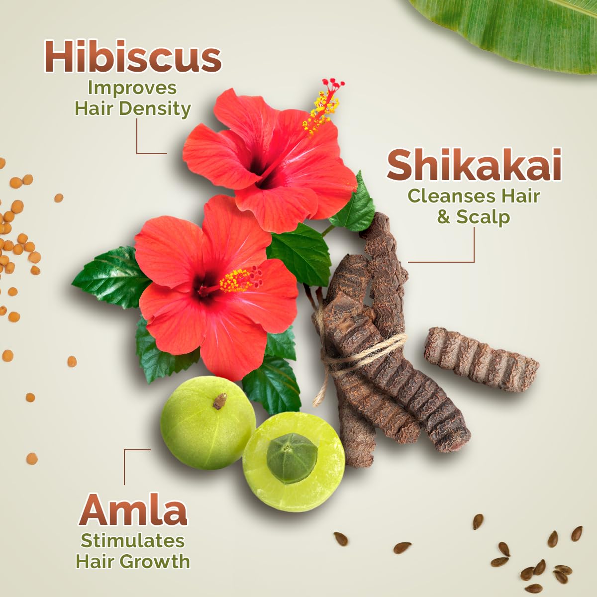 شامبو Mamaearth Kerala Thaali 250 مل