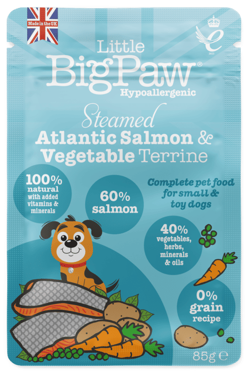 Little Big Paw Salmon & Vegetable Dinner - 150g