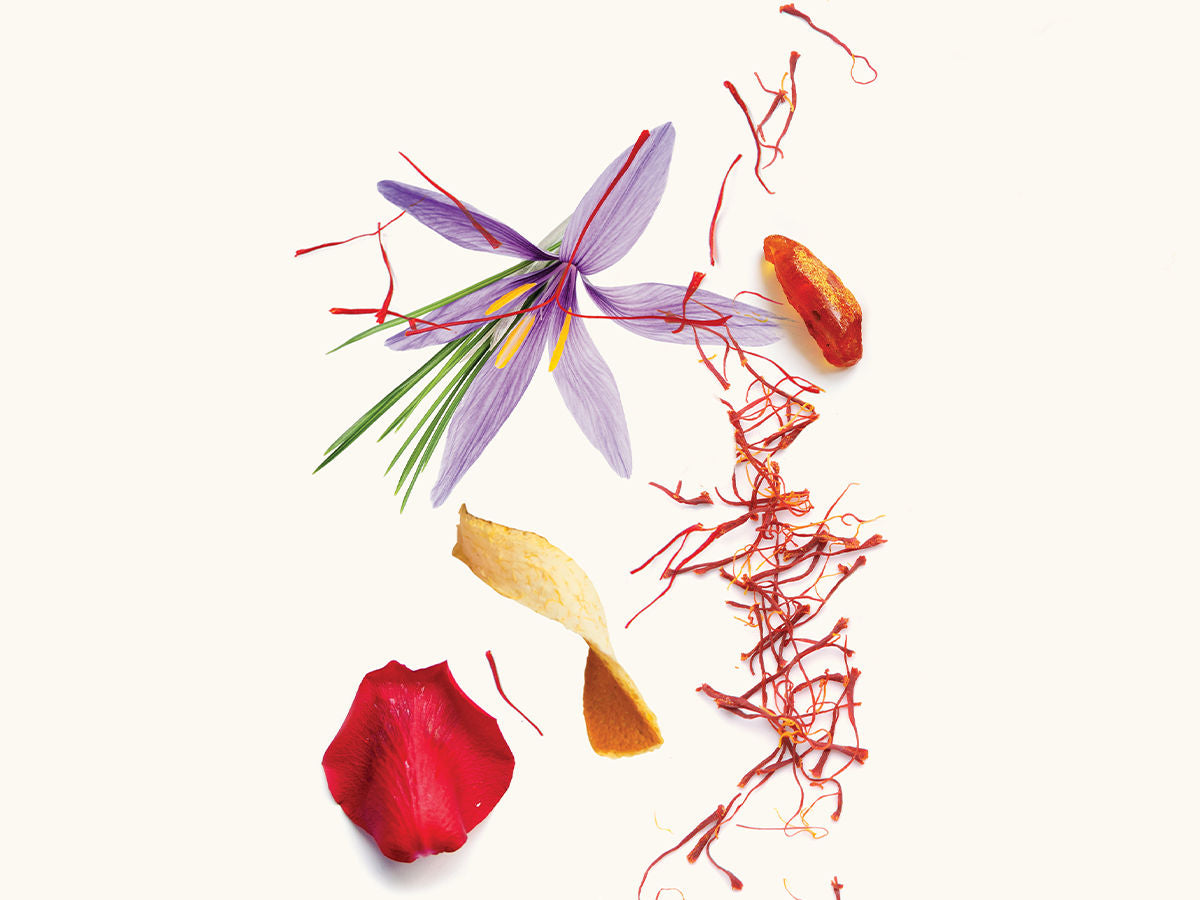 Sahara Extrait de Parfum 50ml