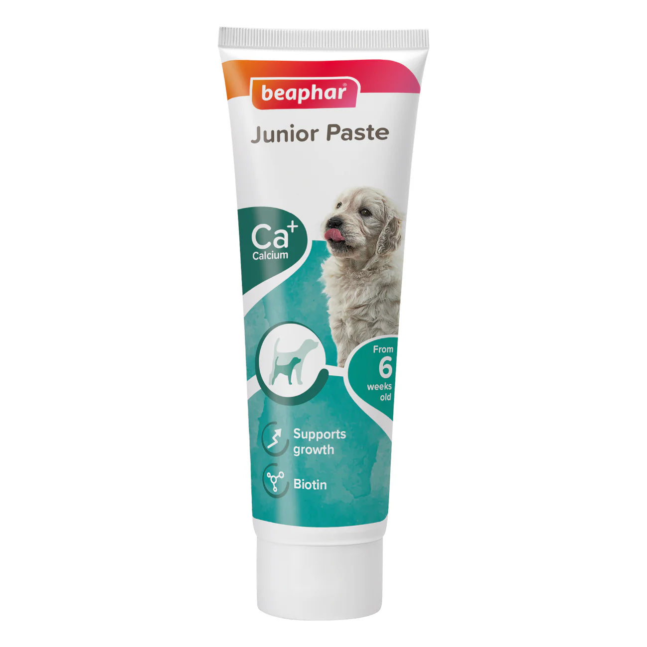 Beaphar Junior Paste for Dogs 100 g