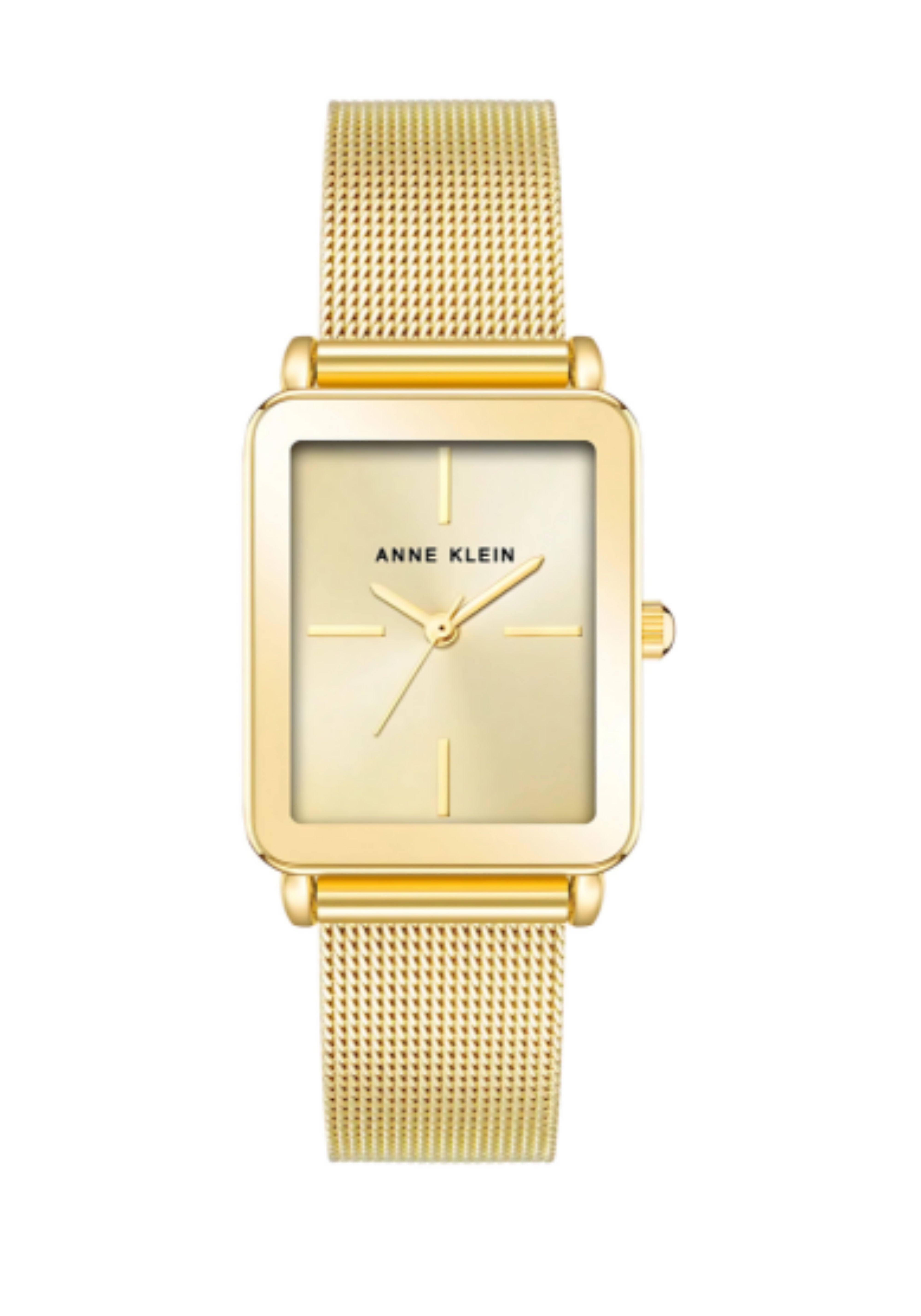 Anne Klein Ladies Watch AK4170CHGB