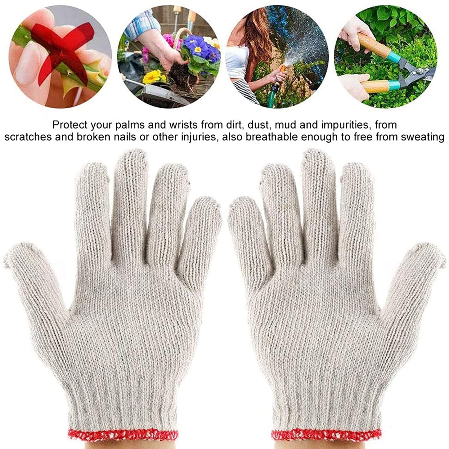 Plant Seed Grows Box Seed Starter Kits with Gloves Label Stickers Shovel
