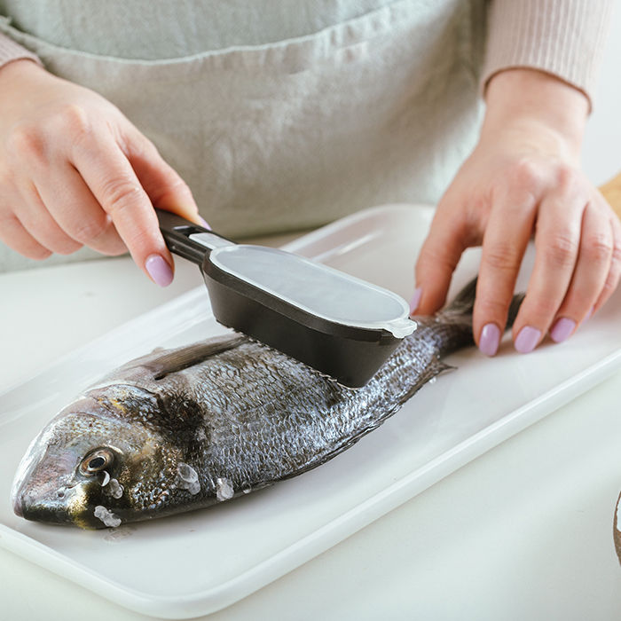 NAVA Acer Fish Scaler With Stainless Steel Blade & Storage Container,  20cm