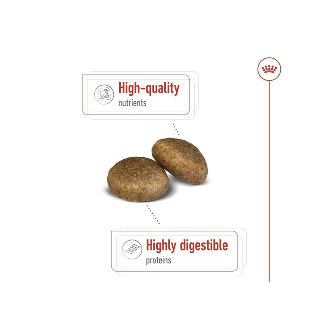 Royal Canin Size Health Nutrition Maxi Adult Dry Dog Food