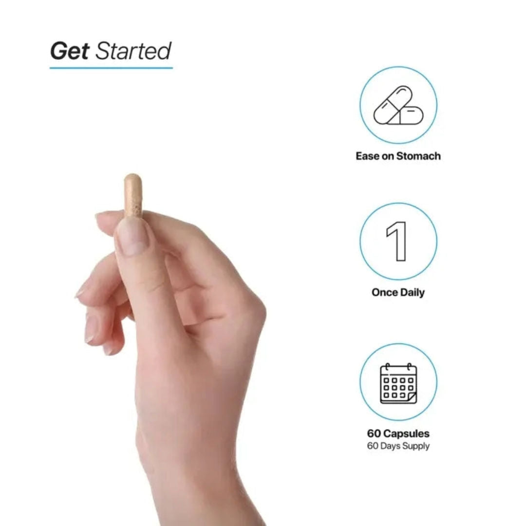 HC Nutrition Vitamin B-Complex 500 mg, 60 Capsules