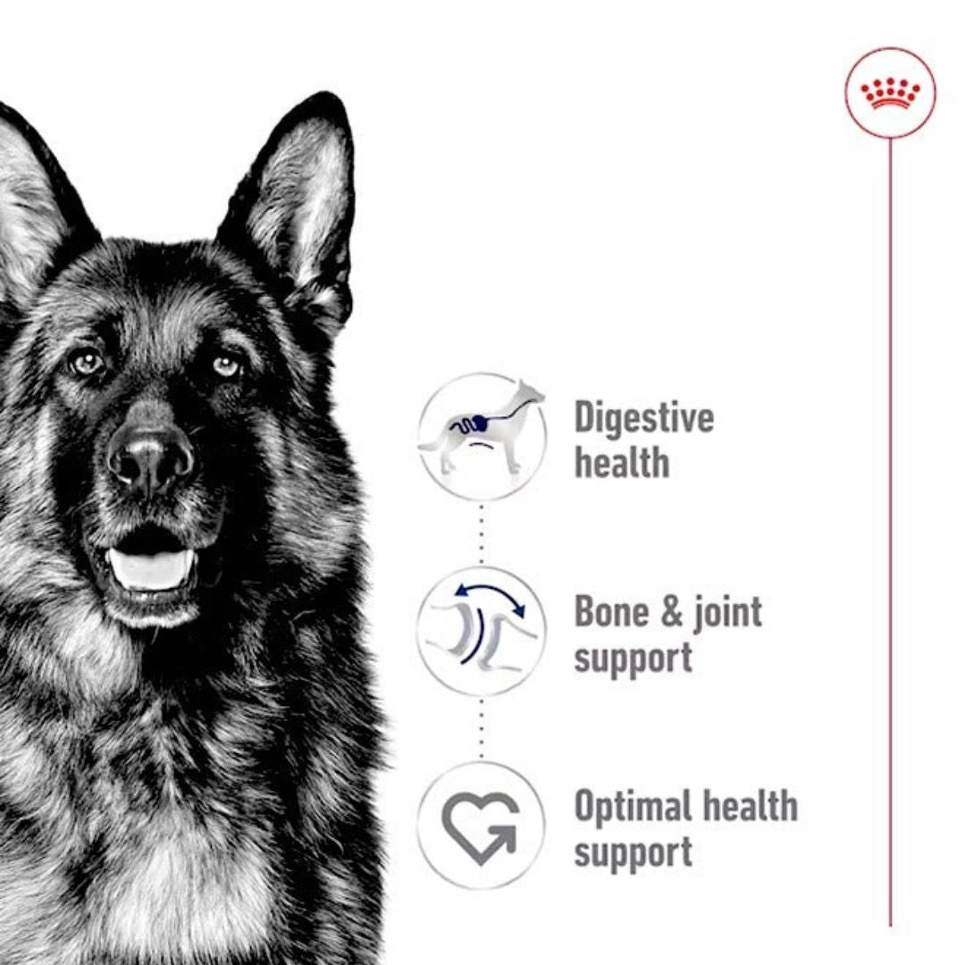 Royal Canin Maxi Adult Loaf Wet Dog Food, 410gm, Pack of 12