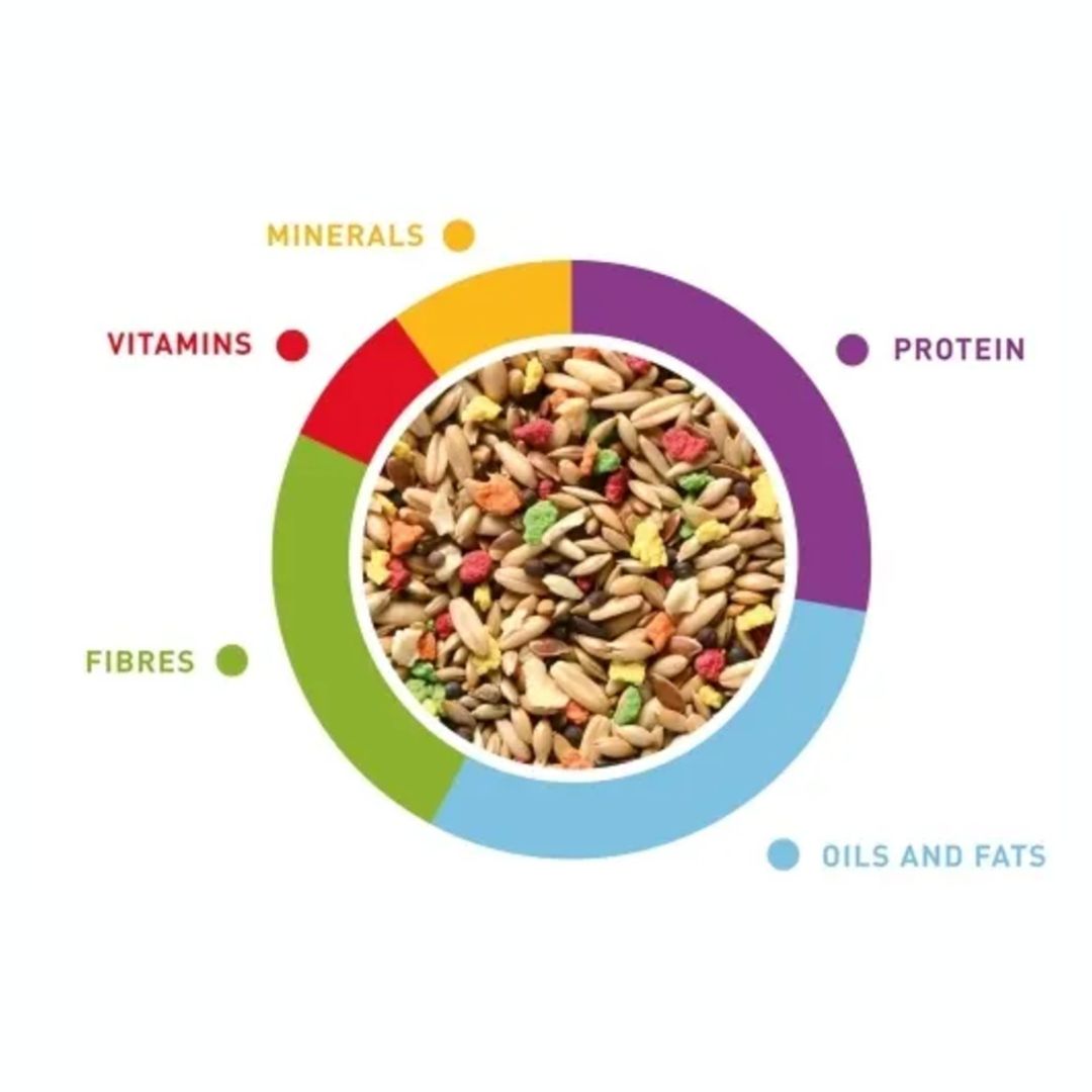 Padovan Grandmix Bird Food, 1kg