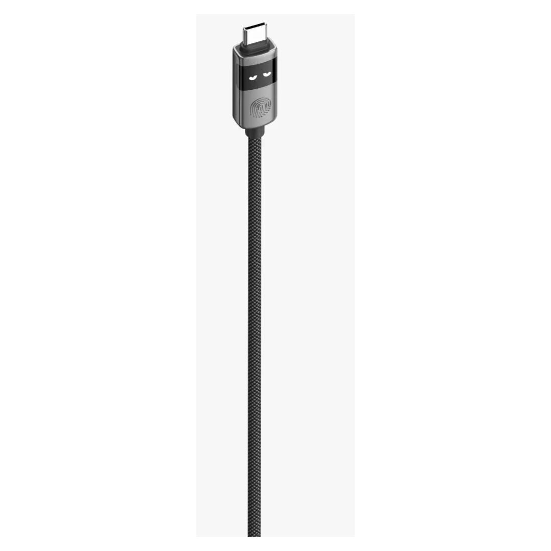 Levelo Auge Smart Charge & Sync Cable USB C To USB C, Gray