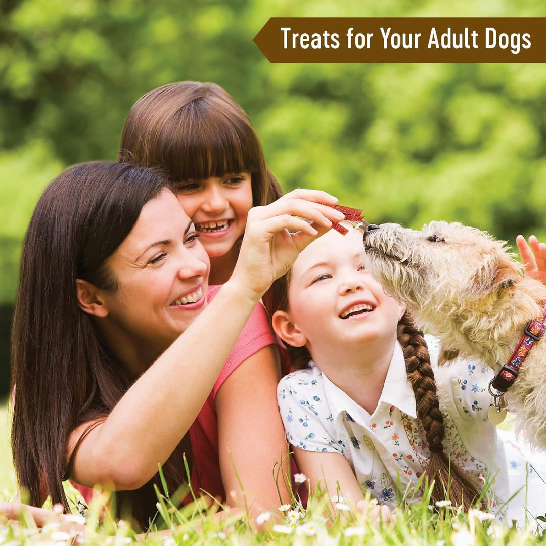 Dog Fest Turkey Slices For Adult Dogs, 90gm