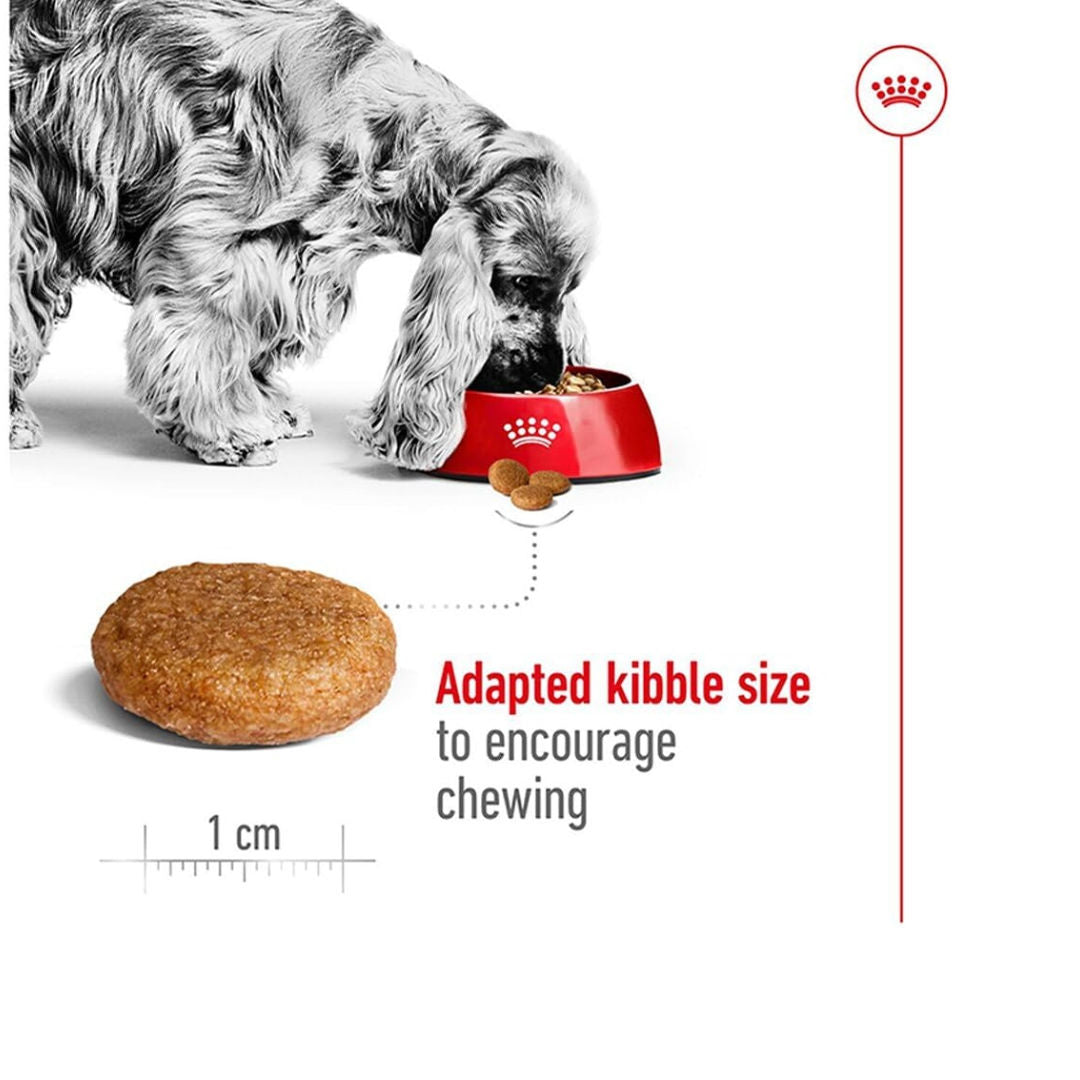 Royal Canin Size Health Nutrition Medium Adult Dry Dog Food