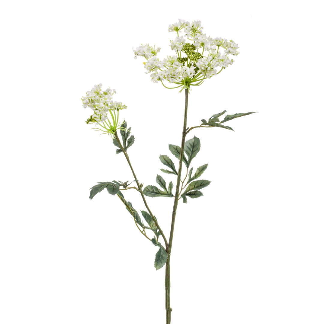 Dill Spray, White