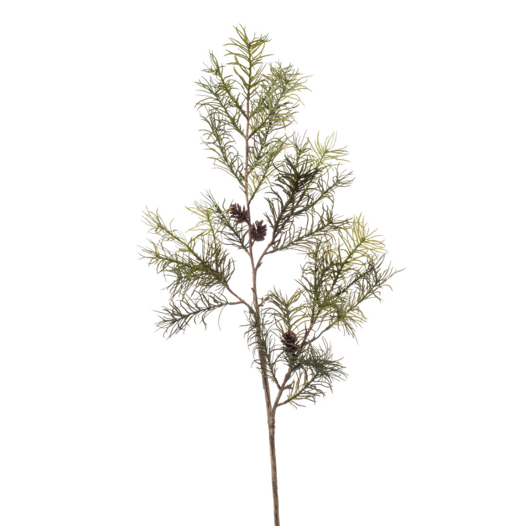Taxus Pine Spray, Green