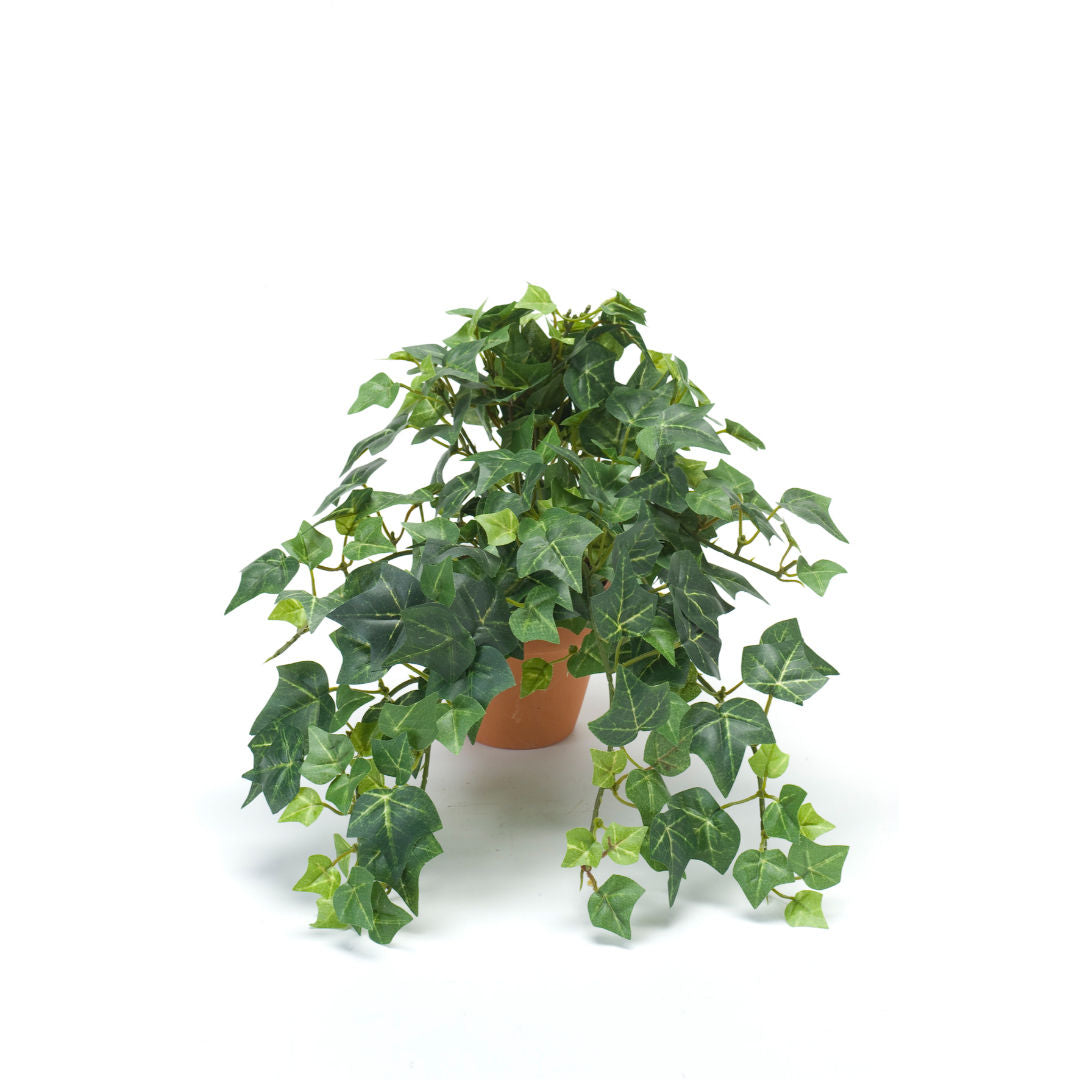 Ivy Mini Bush Leaves Green, 20cm