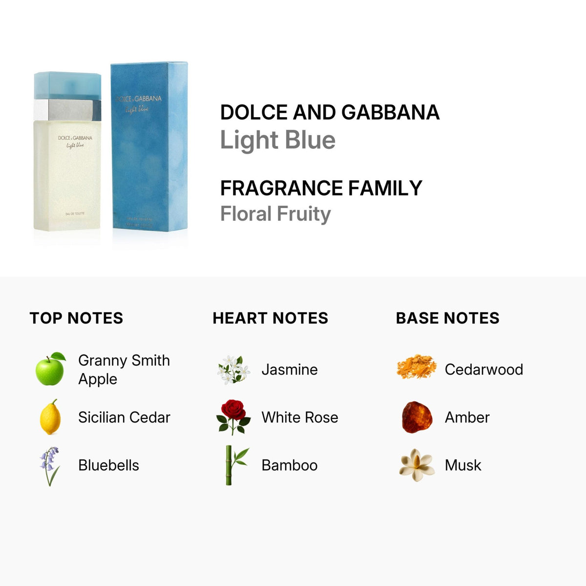 Dolce and Gabbana Light Blue Eau de Toilette for Women, 100ml