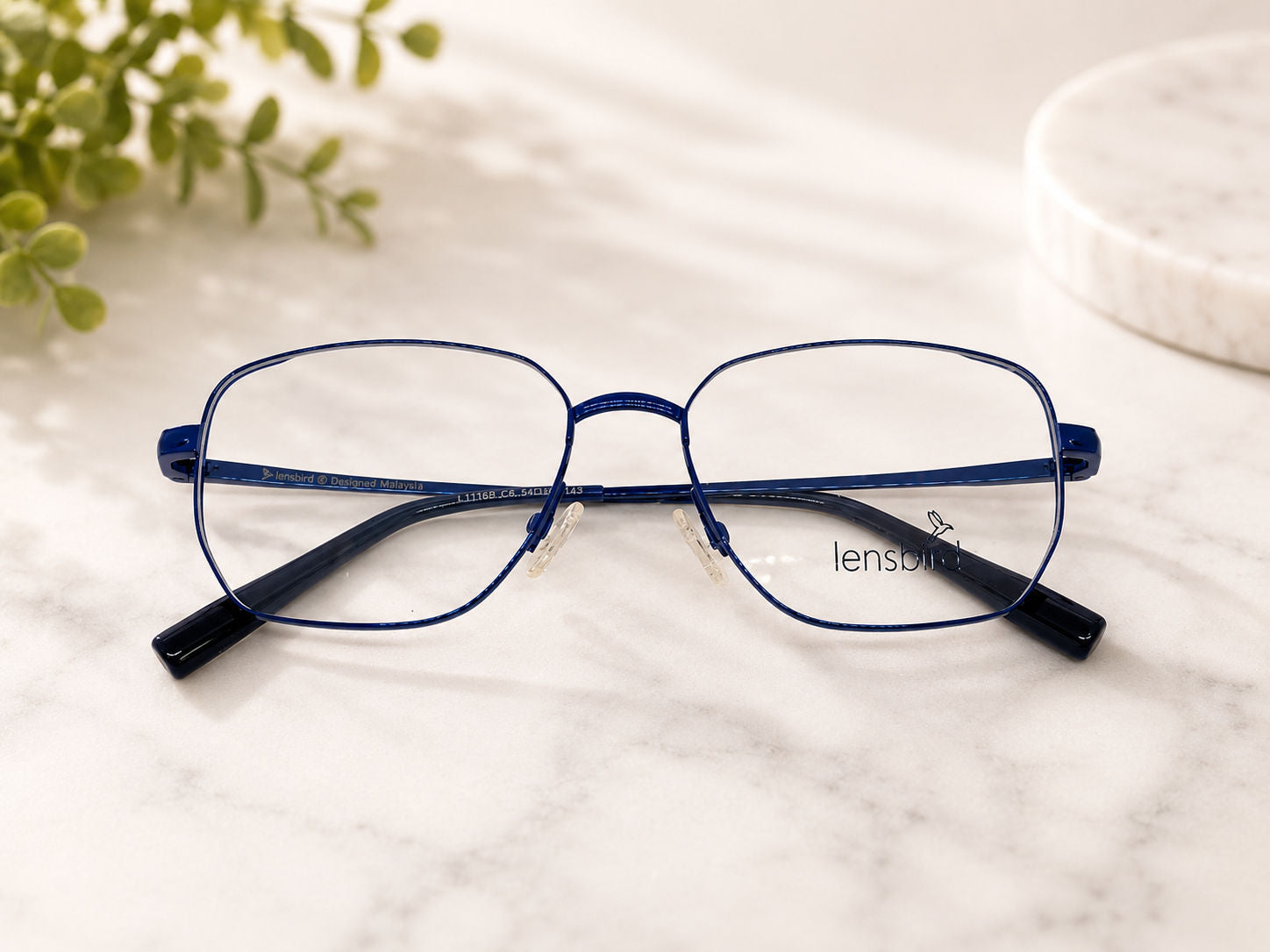 Lensbird Unisex Eyeglass, L11168C6