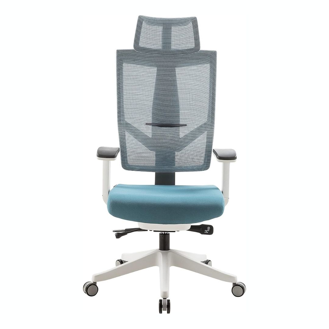 Navodesk AERO Chair, Premium Ergonomic Office & Computer Chair with 3D Armrests, High Back Executive Chair with Multi-adjustable, Marine Blue