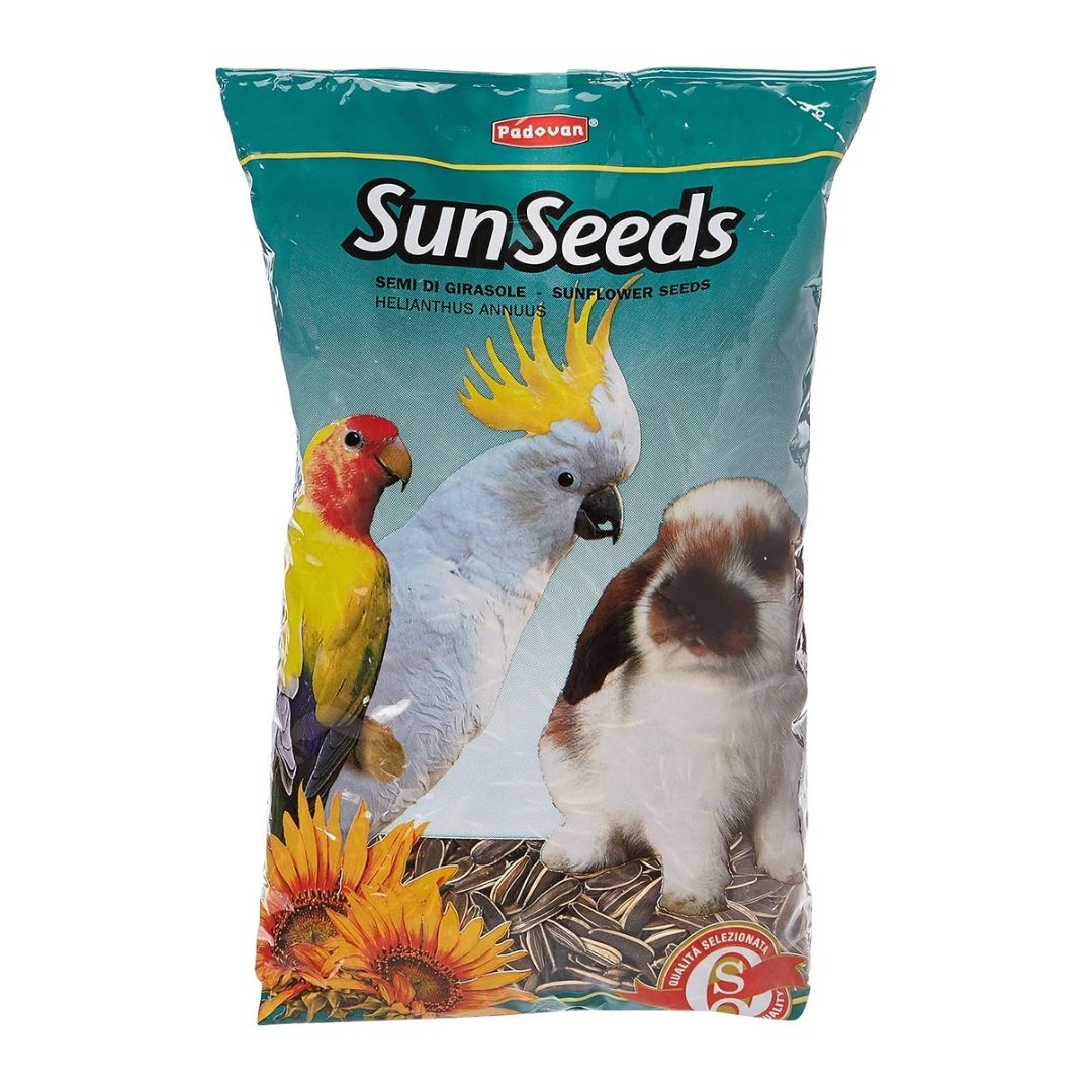 Padovan Sunflower Seeds Medium, Easy Food, Pack of 500 Grams