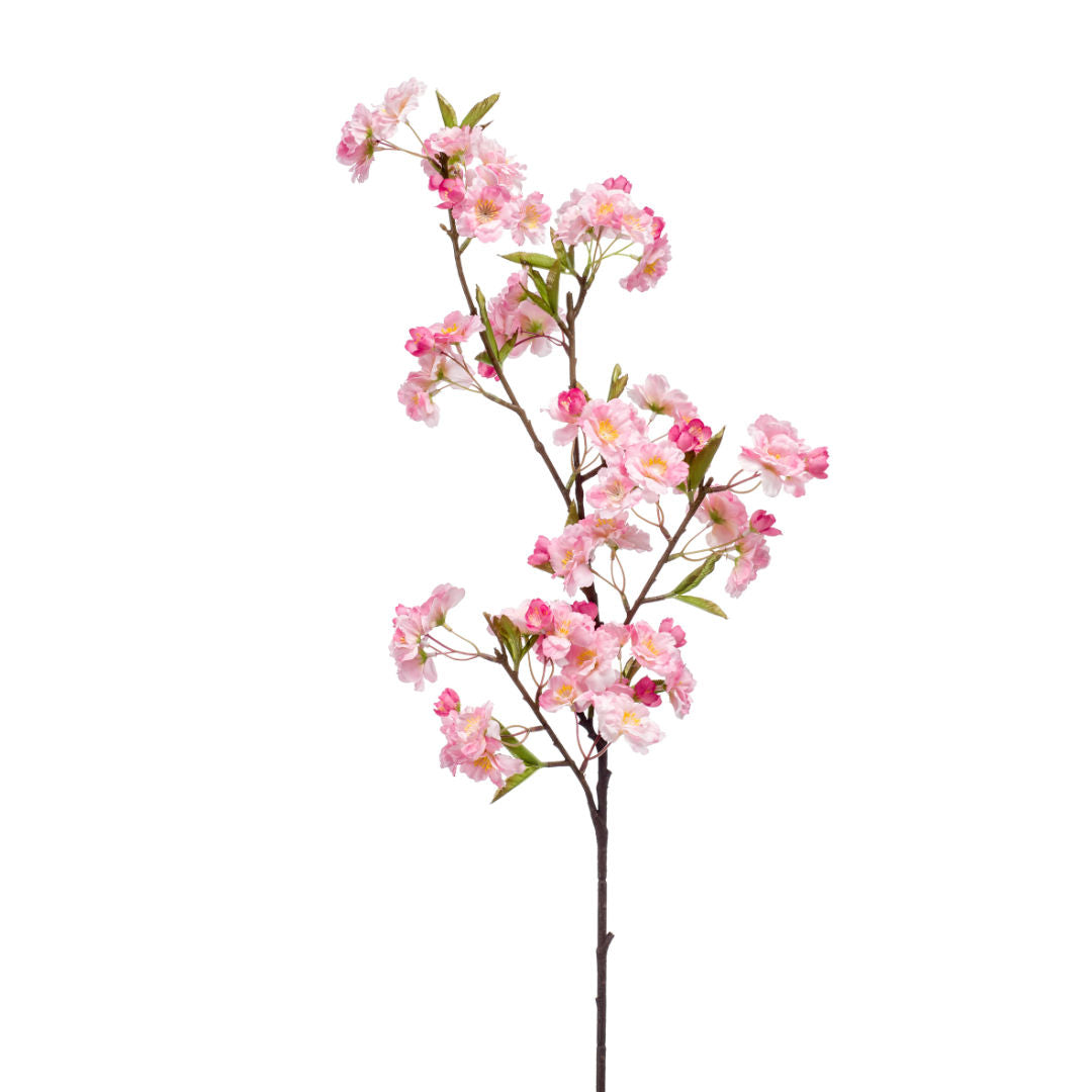 Apple Blossom Spray