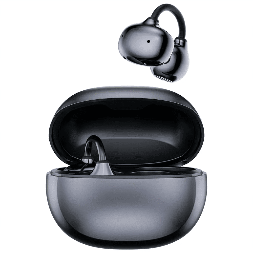 Green Lion Salvador Wireless Earbuds- Silver